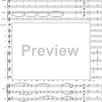 Mass in C Major, No. 3: Credo - Full Score