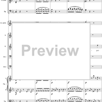 "Dite almeno in che mancai?" K479 - Full Score