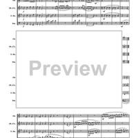 Turkey in the Straw - Score