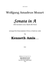 Rondo alla turca (Sonata in A, mvmt. 3) - Introductory Notes