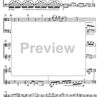 Impromptu No.17 Op.79