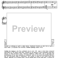 Sain Clychau Joanna - Carillon for Joanna