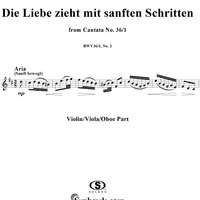 "Die Liebe zieht mit sanften Schritten", Aria, No. 2 from Cantata No. 36/1: "Schwingt freudig euch empor" - Violin