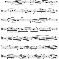 Concert Study No. 14