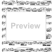 The Accomplished Clarinettist Vol. 2 - Clarinet