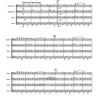 The String Band Polka - Score