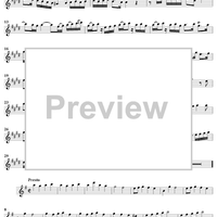 Concerto in E Minor for Recorder and Flute