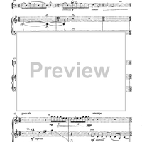 The Loneliest Wilderness - Elegy for Cello and Orchestra - Piano Accompaniment