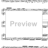 Concerto G Major BWV 986