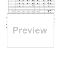 Brazilian Spice - Score