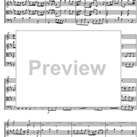 Divertimento No. 7 D Major KV205 - Score