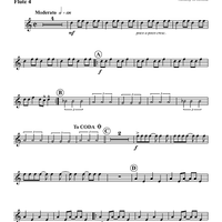 The Global Village Samba - Flute 4