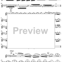 The Four Seasons, No. 4: Winter - Violin 2