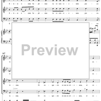 Mass No. 13 in B-flat Major: No. 3, Credo