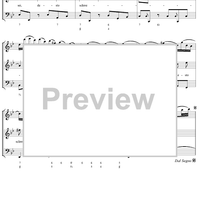 Erschrekke doch - No. 5 from Cantata No. 102 - BWV102