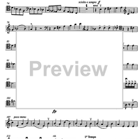 Fantasia di giovani leoni (Phantasy of the young lion) - Cello 1