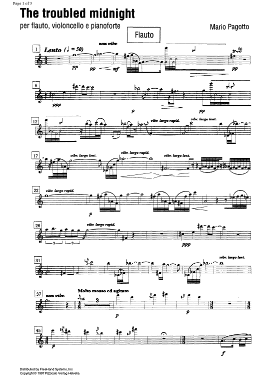 The troubled midnight - Flute