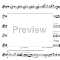 Quintet Op.43 - Flute