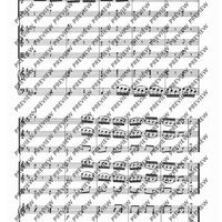 Concerto B Minor in B minor - Score