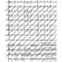 Variations On A Theme Of Haydn - Full Score