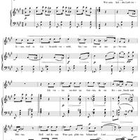 Wer sein holdes Lieb verloren, No. 7 from "Spanisches Liederbuch" II