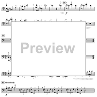 Harry's Wondrous World