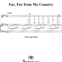 Far, far from my country