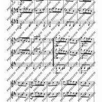 Zwölf Cassationsstücke - Performing Score