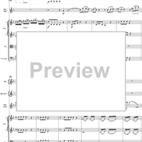 Oboe Concerto in C Major, HobVIIg/C1 Movement 2 - Full Score