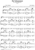 Winterreise (Song Cycle), Op.89, No. 23 - Die Nebensonnen, D911 - No. 23 from "Winterreise"  Op.89