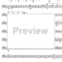 String Quintet c minor Op.104 - Cello