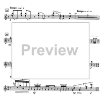 Miniatures (manuscript version) - Percussion