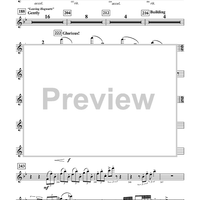 Harry Potter Symphonic Suite - Piccolo