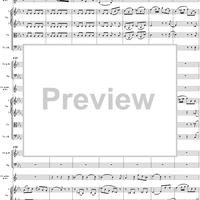 Horn Concerto No. 3 in E-flat Major, K447