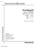 Nachtigall Op.97 No. 1