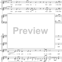 Have you not known? Have you not heard?