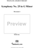 Symphony No. 25 in G Minor, Movement 1 - Full Score