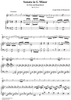 Sonata in G minor for Flute and Harpsichord  Op. 91, No. 2