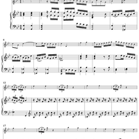 Sonata in G minor for Flute and Harpsichord  Op. 91, No. 2