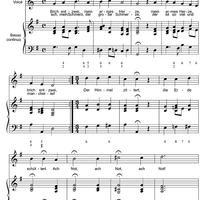 Brich entzwei, mein armes Herze