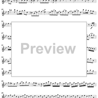 Sonata No. 13 in G Minor - Flute