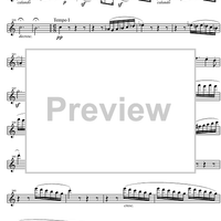 String Quintet C Major Op.29 - Violin 1