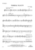 Terminal Velocity - Bb Clarinet 1