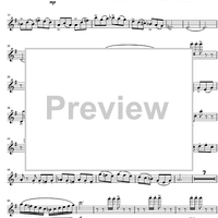 Argentinian Rhapsody - Flute