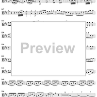 String Quartet No. 7 in D Major, D94 - Viola