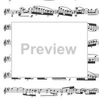 The Accomplished Clarinettist Vol. 1 - Clarinet