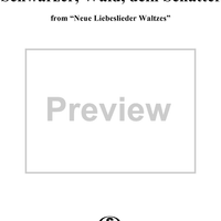 Schwarzer, Wald, dein Schatten - No. 12 from "Neue Liebeslieder Waltzes"  Op. 65