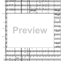 Final Galop from the Guard of Amager - Score