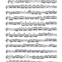 Double Concerto for Recorder and Flute in E minor - Flauto Traverso (Flute)