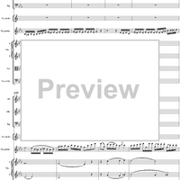 Violin Concerto No. 6 - Full Score